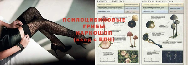 прущие крисы Киреевск